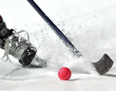 Bandy odds  NHL Moneyline Chance – Bet on the team that earn the game having fun with moneyline chances